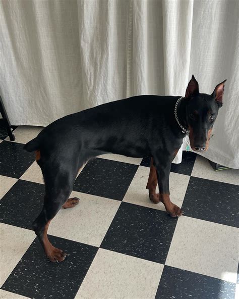 Hex Hudosh | BTS from Why Am I Alive Now? Video- the new single from ...