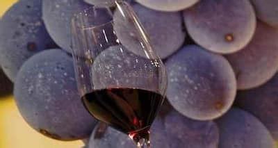 Red grapes might prevent bowel cancer, says a study | TheHealthSite.com