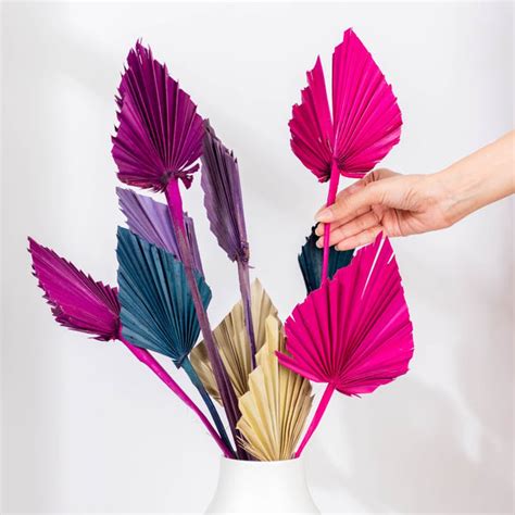 Natural Dried Palm Leaf Bunch 10 Sticks Multicolored Online - Premium ...