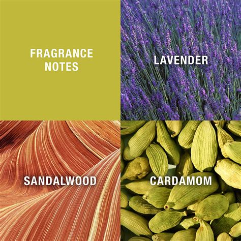 Buy Curve by Liz Claibrone, 3 Piece Gift Set for Men with 4.2 oz Online ...