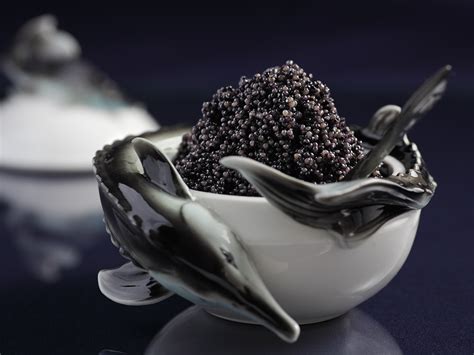 Russian Sturgeon Caviar | A to Z Duty Free