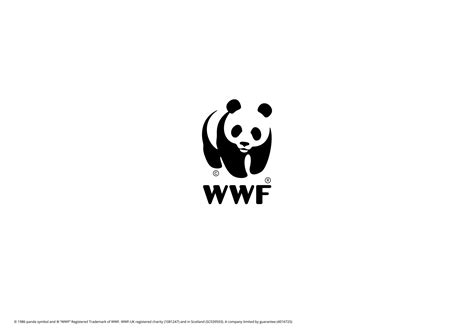 WWF_KS2_Lesson1_Presentation.pdf