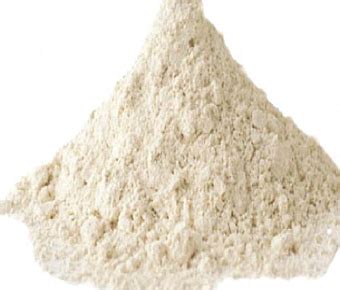 Botanical Name : Fungal Diastatase