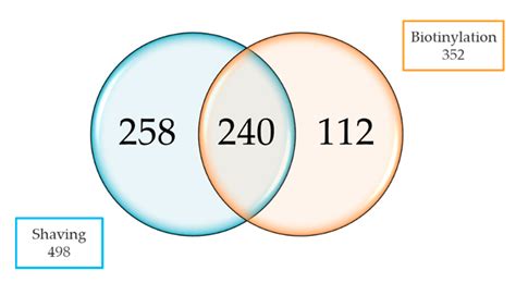 Within-Host Adaptation of Staphylococcus aureus in a Bovine Mastitis ...