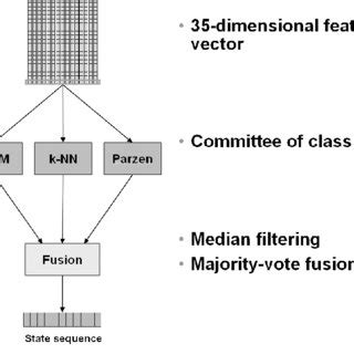 Image result for Classification System