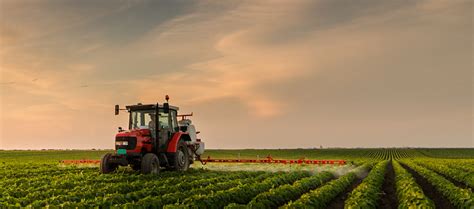 Beneficial Nematodes for Pest Control