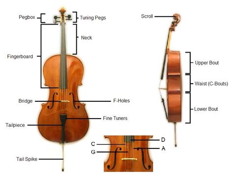 Analysis - Cello
