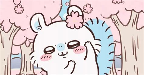 правила MOMONGA SHOP — Teletype