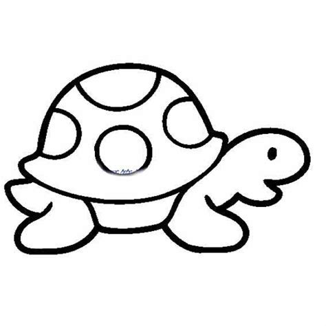可爱的小乌龟简笔画 海洋动物简笔画 - 育才简笔画