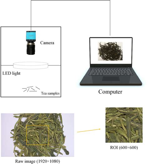Computer Vision System 的图像结果
