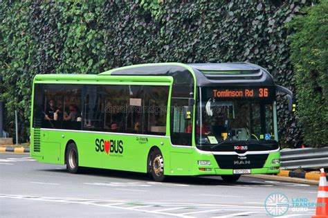 Go-Ahead Bus Service 36 | Land Transport Guru