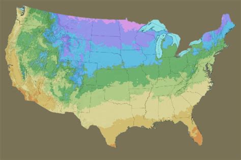 Discover USDA Hardiness Zones for Successful Gardening - Baxter Gardens