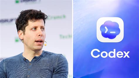 Codex Openai 的图像结果