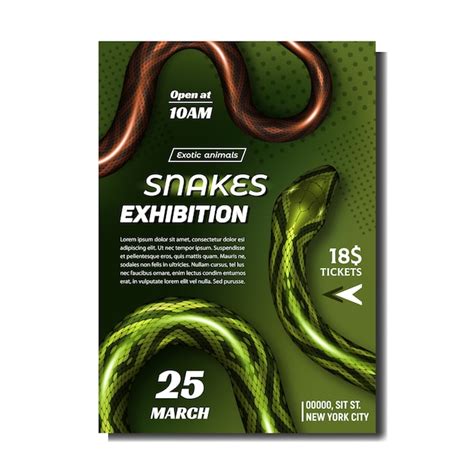 Image result for Python Snake Event Banner