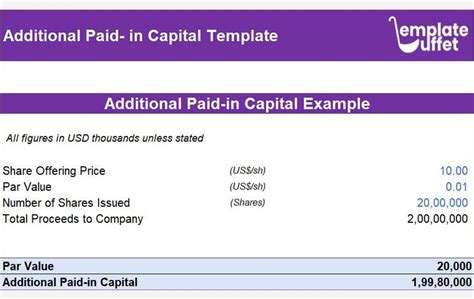 Additional Paid-in Capital Excel Template | Easily Track Your Stock Capital