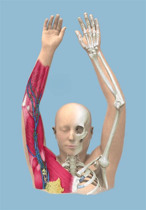 CT Scan 的图像结果