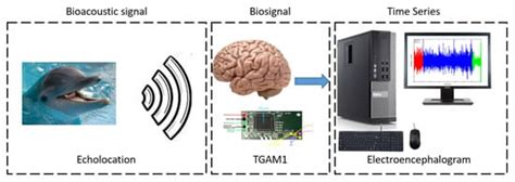 Brain-Inspired Healthcare Smart System Based on Perception-Action Cycle