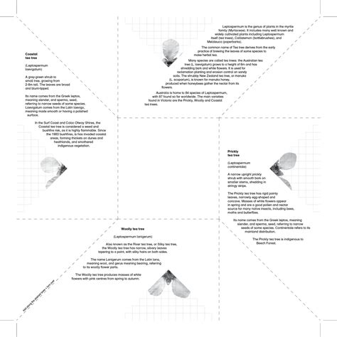 These Are The Projects We Do Together — Tea tree seed pouch