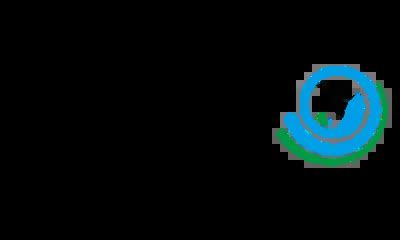 Company Overview - Qingdao Beileji Yacht Co., Ltd.