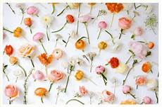 gallery flower wall ideas 14 flower wall ideas for an unforgettable wedding philly gallery flower wall ideas 14 flower wall ideas for an unforgettable wedding philly