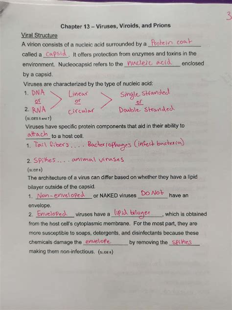 Final Exam Study Guide: Viruses, Viroids, and Prions (XYZ123) - Studocu