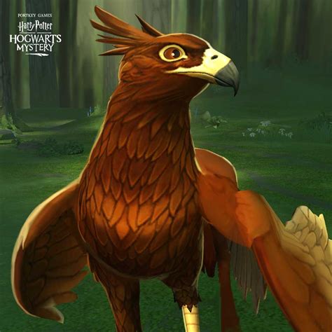 Hippogriff Vs Griffin