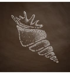 Computer Shell Vector 的图像结果