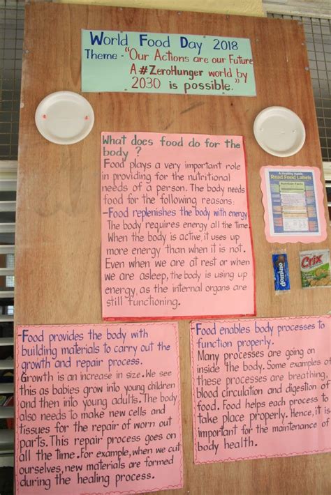 What it's like to go to school in St Lucia? | National Geographic Kids