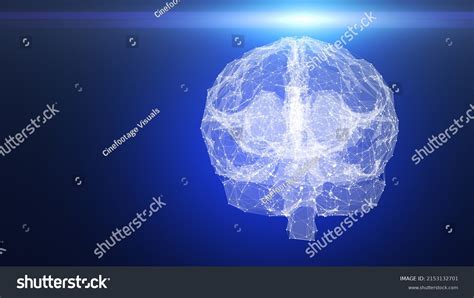 Image result for Human Brain Scan
