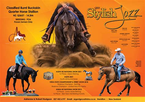 Featured Stallions | AQHA