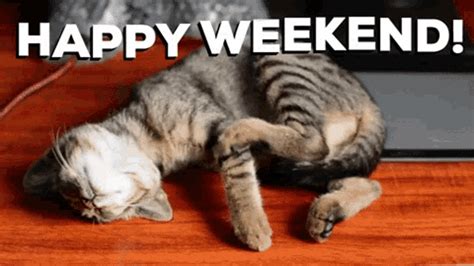 Happy Weekend GIFs | GIFDB.com