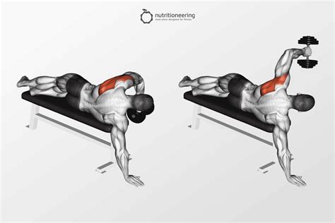 23 Posterior Deltoid Exercises (With Videos & Pictures) | Nutritioneering