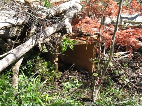 Compass Trapping Set 的图像结果