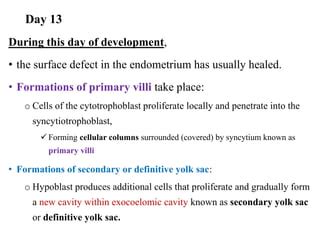 Image result for Second Week of Embryonic Development