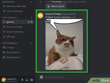 How to Make a Speech Bubble on Discord: Easy Guide
