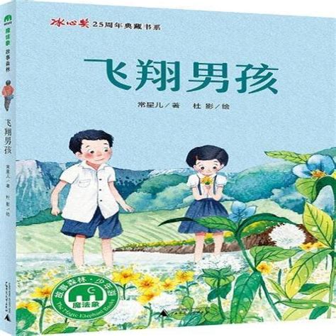 飞翔男孩（2017年广西师范大学出版社出版的图书）_百度百科