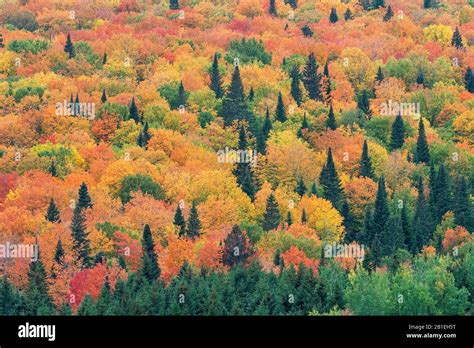 Image result for CSS Dark Color Code