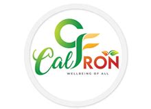 Best Website Development Services & Training | ECODE DESIGN