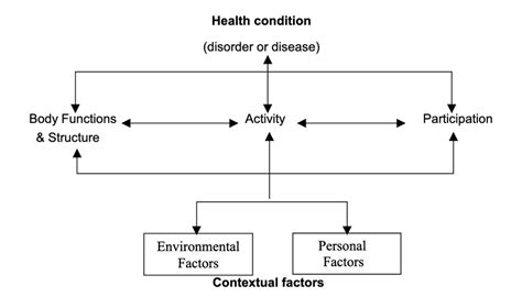 Function Model of Disability 的图像结果