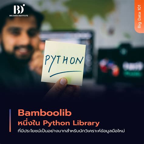 Bamboolib for Python 的图像结果