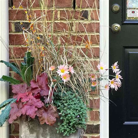 40 Front Door Plants for a Stylish Entrance Area
