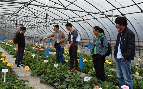我院农业农村部植物新品种测试（上海）分中心开展新型农民宣传培训_科技服务_新闻中心_上海市农业科学院