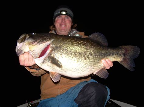 10 Lb'ers — Tactical Bassin' - Bass Fishing Blog