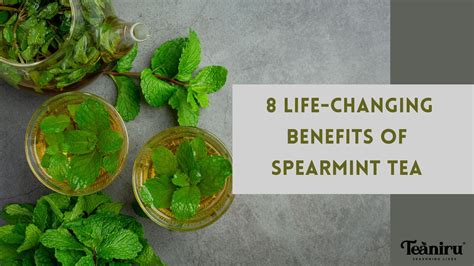 Spearmint Tea Benefits: Uses, Benefits, Side Effects – FDJY