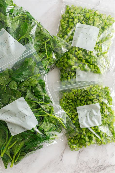 How to Freeze Celery - The Rooted Farmhouse | Gardening, Canning ...