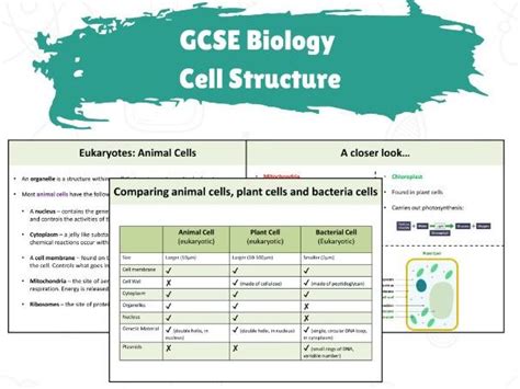 Cell Structure GCSE 的图像结果