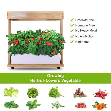 Buy Ecoo Grower IGS-05 Hydroponic Kit Indoor Grow Kit, Hydroponics ...