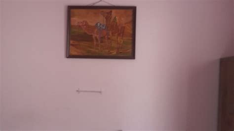 Rental 1 RK 680 Sq.Ft. Independent House in Rt Nagar Bangalore - 8681599