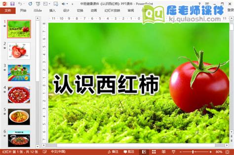关于西红柿的外貌描写作文600字-Word模板下载_编号qpdvaajg_熊猫办公