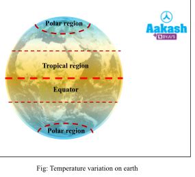 Abiotic Factors: Definition, Types, Temperature, Light, Water & Soil | AESL